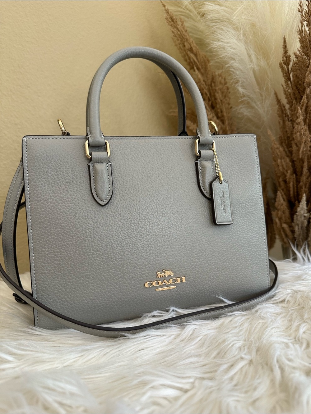 Coach Maggie Small Tote Bag - Picture 10 of 15